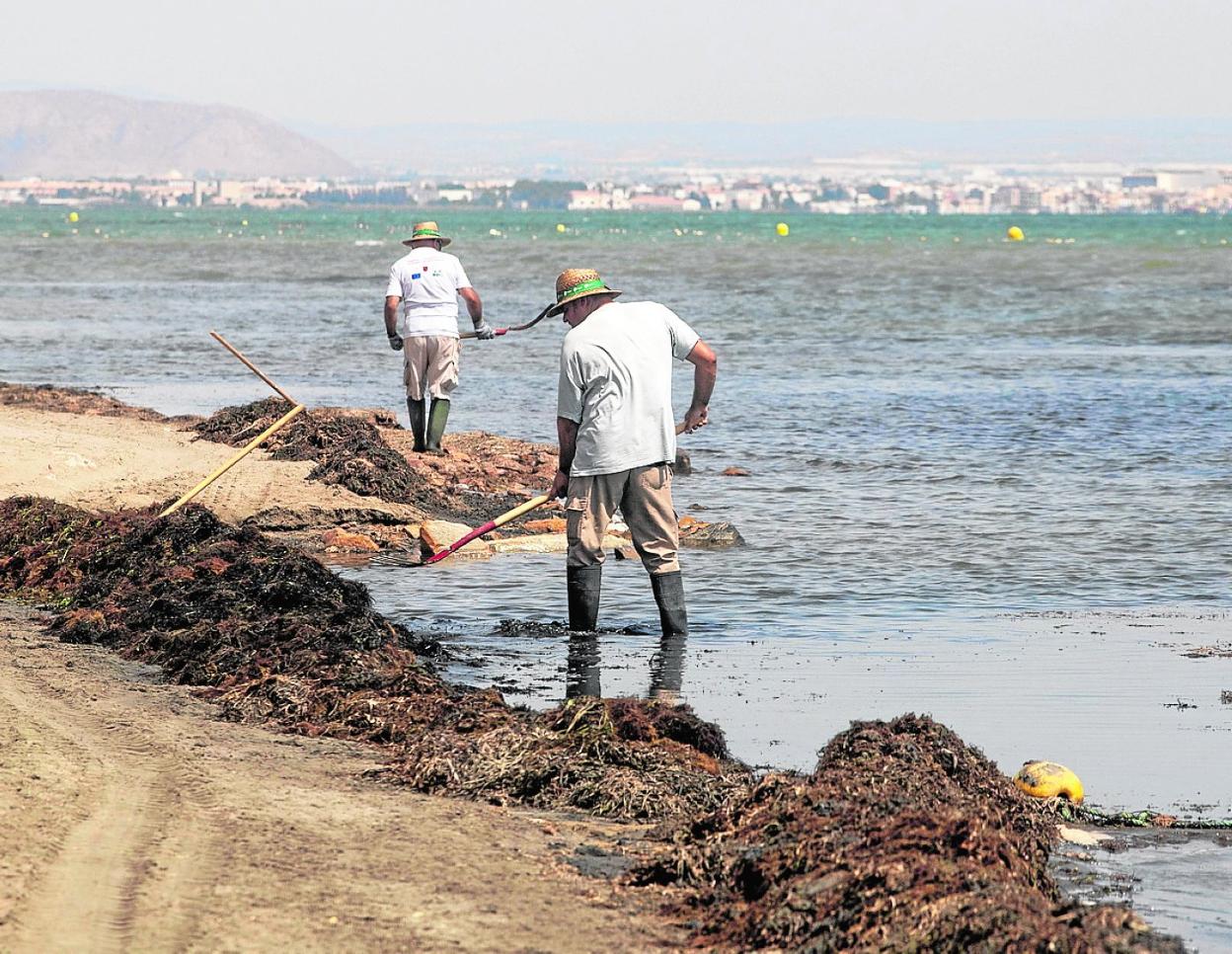 La Comunidad Invierte 28 Millones En Medidas Para Proteger El Mar Menor